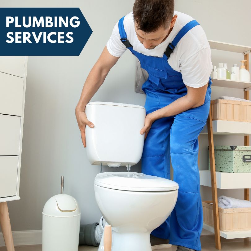Plumbing Company in Ladd, IL